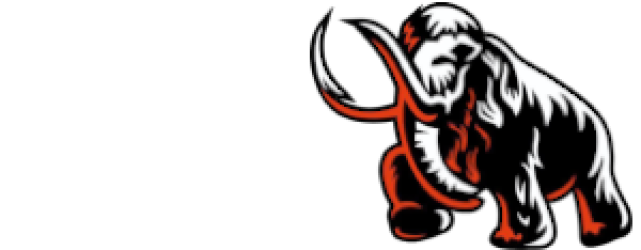 کالا ورزشی ماموت
