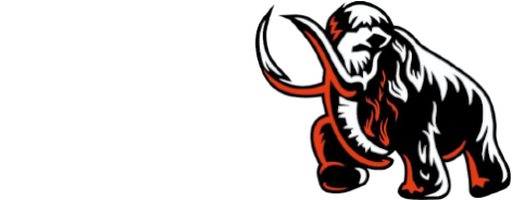 کالا ورزشی ماموت